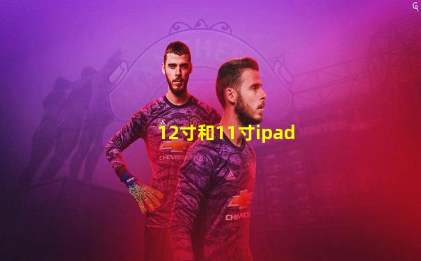12寸和11寸ipad