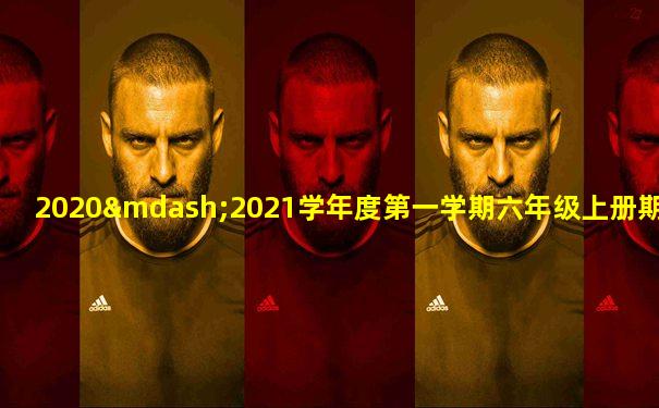2020—2021学年度第一学期六年级上册期中调研试卷答案