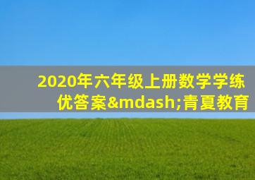 2020年六年级上册数学学练优答案—青夏教育