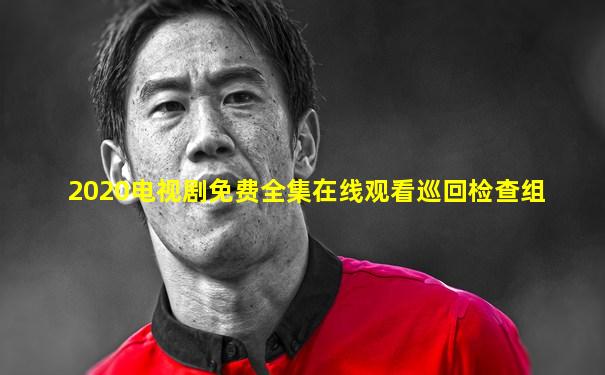 2020电视剧免费全集在线观看巡回检查组
