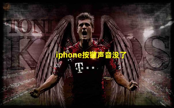 iphone按键声音没了