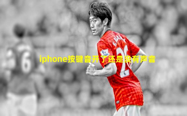 iphone按键音开了还是没有声音