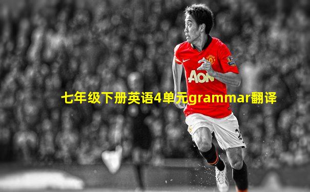 七年级下册英语4单元grammar翻译