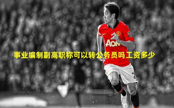 事业编制副高职称可以转公务员吗工资多少