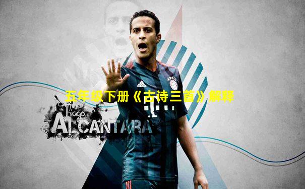 五年级下册《古诗三首》解释
