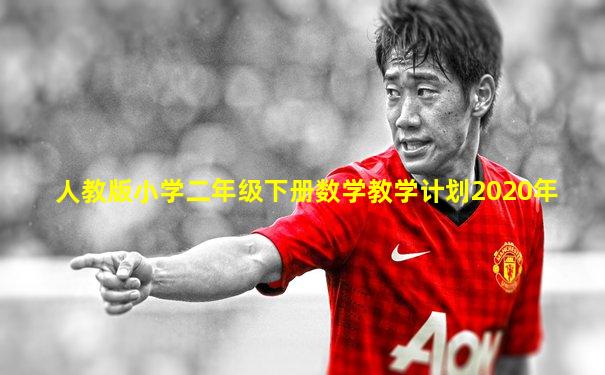 人教版小学二年级下册数学教学计划2020年