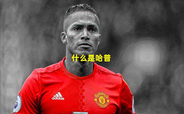 什么是哈普