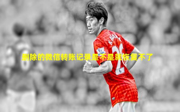 删除的微信转账记录是不是就恢复不了