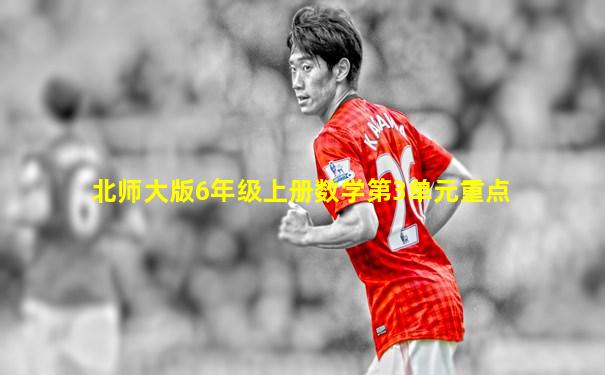 北师大版6年级上册数学第3单元重点