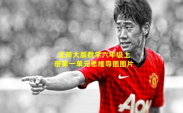 北师大版数学六年级上册第一单元思维导图图片