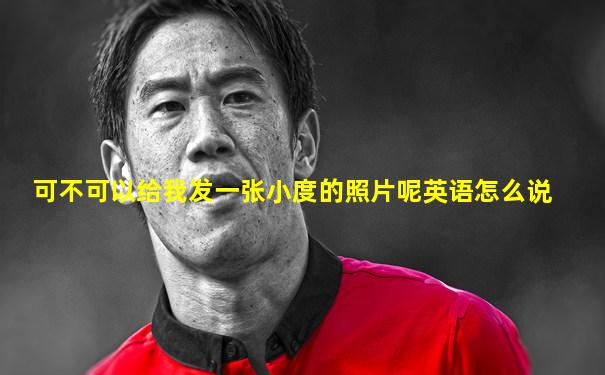 可不可以给我发一张小度的照片呢英语怎么说