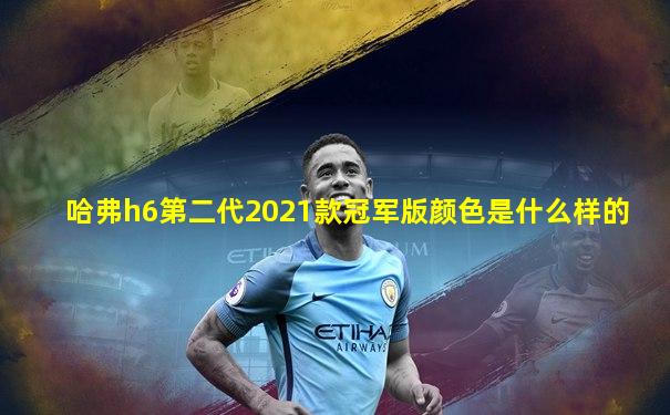 哈弗h6第二代2021款冠军版颜色是什么样的