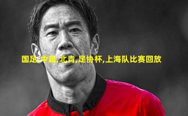 国足,中超,北青,足协杯,上海队比赛回放