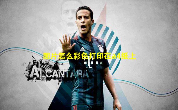 图片怎么彩色打印在a4纸上