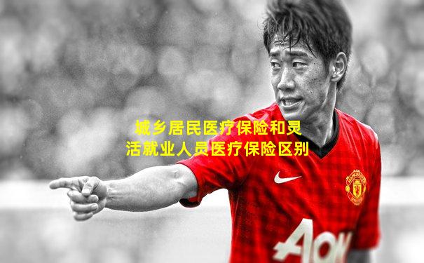 城乡居民医疗保险和灵活就业人员医疗保险区别