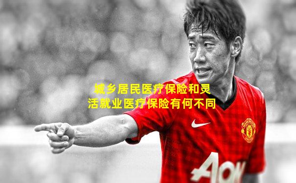 城乡居民医疗保险和灵活就业医疗保险有何不同