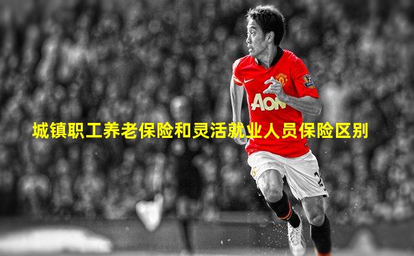 城镇职工养老保险和灵活就业人员保险区别