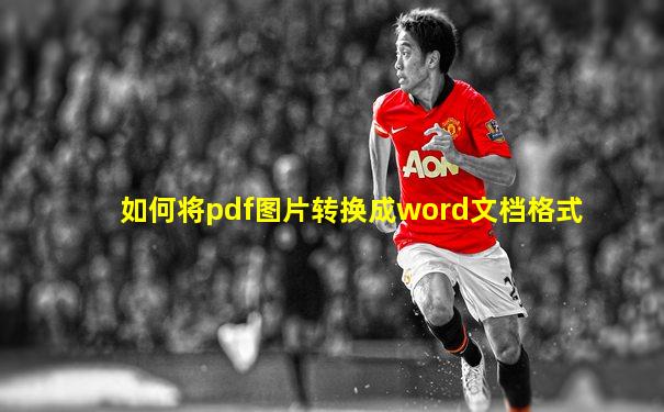如何将pdf图片转换成word文档格式