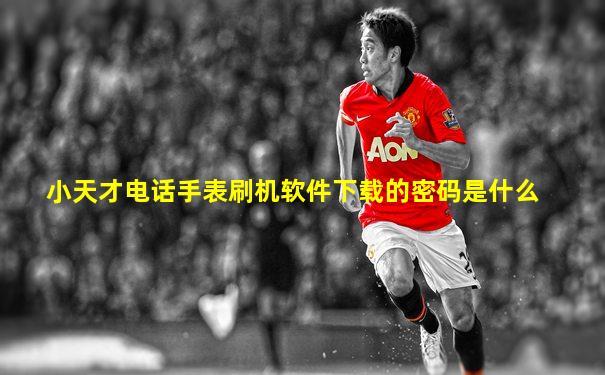 小天才电话手表刷机软件下载的密码是什么