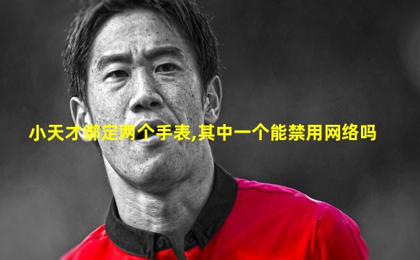 小天才绑定两个手表,其中一个能禁用网络吗