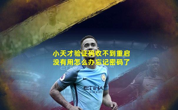 小天才验证码收不到重启没有用怎么办忘记密码了