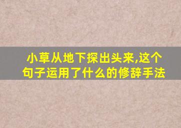 小草从地下探出头来,这个句子运用了什么的修辞手法