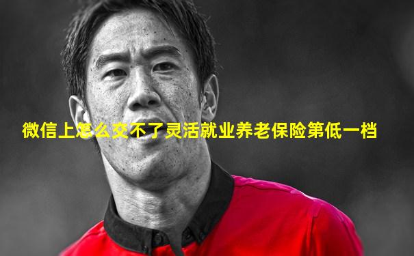 微信上怎么交不了灵活就业养老保险第低一档