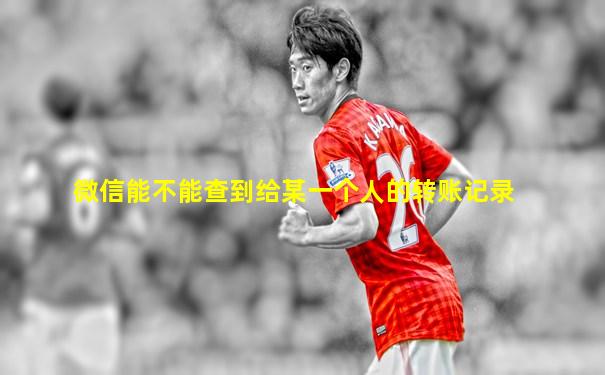 微信能不能查到给某一个人的转账记录