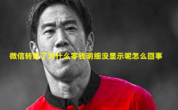 微信转账了为什么零钱明细没显示呢怎么回事