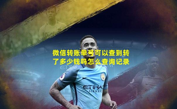 微信转账单号可以查到转了多少钱吗怎么查询记录