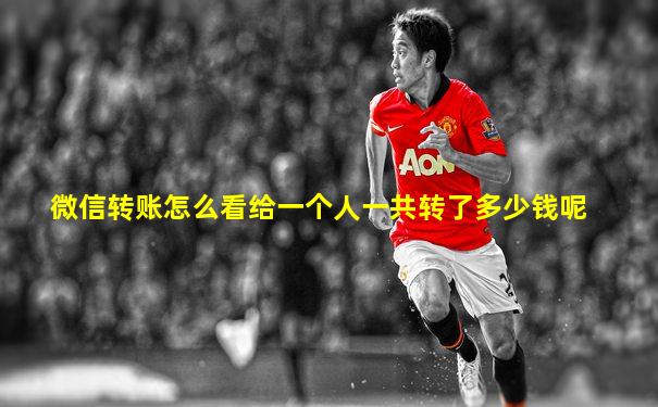 微信转账怎么看给一个人一共转了多少钱呢