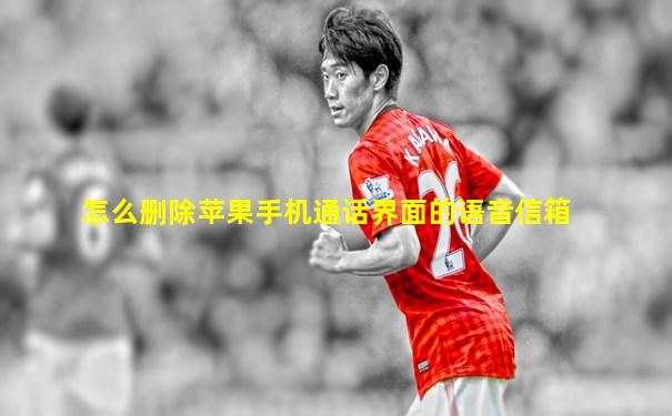 怎么删除苹果手机通话界面的语音信箱