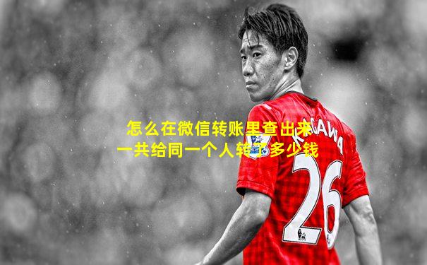 怎么在微信转账里查出来一共给同一个人转了多少钱