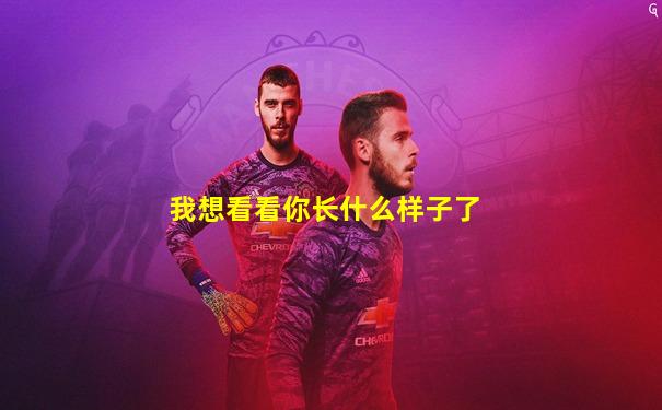 我想看看你长什么样子了