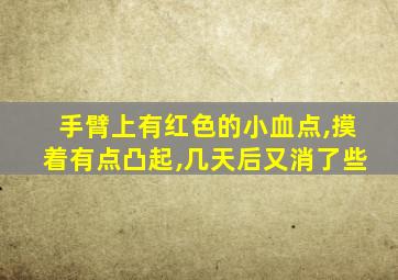 手臂上有红色的小血点,摸着有点凸起,几天后又消了些