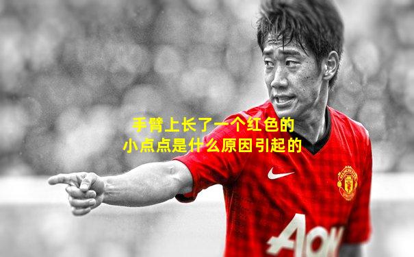 手臂上长了一个红色的小点点是什么原因引起的