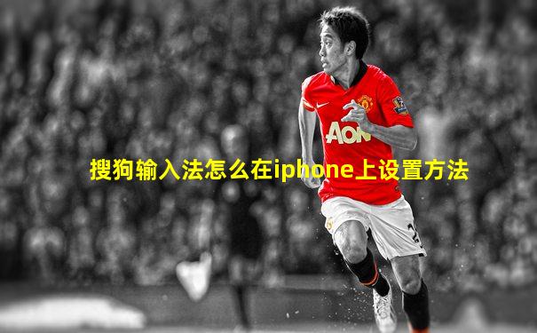 搜狗输入法怎么在iphone上设置方法