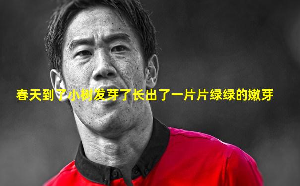 春天到了小树发芽了长出了一片片绿绿的嫩芽