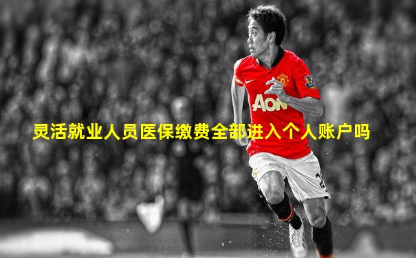 灵活就业人员医保缴费全部进入个人账户吗