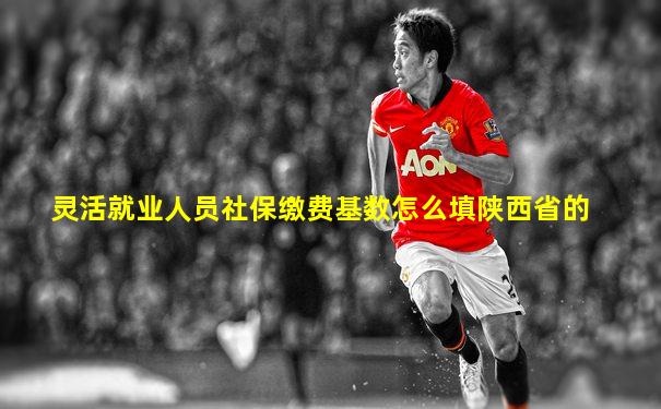 灵活就业人员社保缴费基数怎么填陕西省的