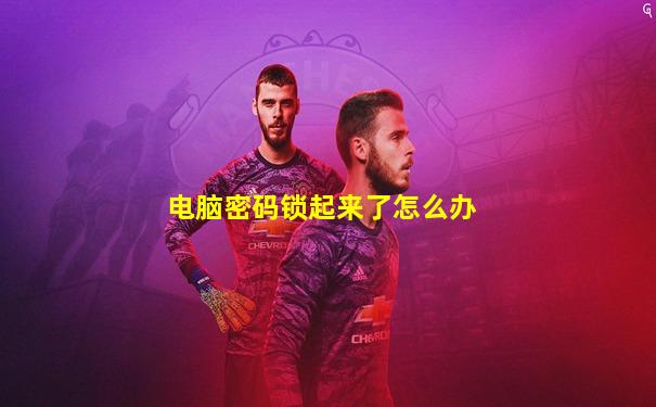 电脑密码锁起来了怎么办