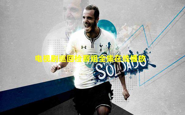 电视剧巡回检察组全集在线播放
