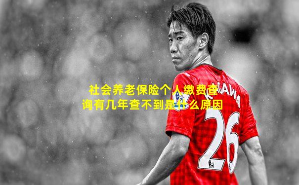 社会养老保险个人缴费查询有几年查不到是什么原因