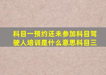 科目一预约还未参加科目驾驶人培训是什么意思科目三