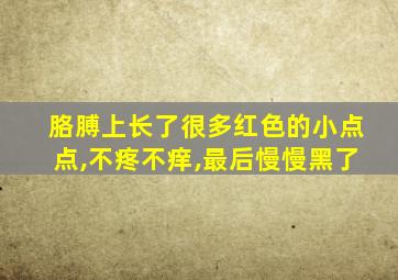 胳膊上长了很多红色的小点点,不疼不痒,最后慢慢黑了