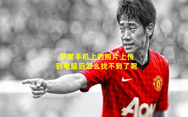 苹果手机上的照片上传到电脑后怎么找不到了呢