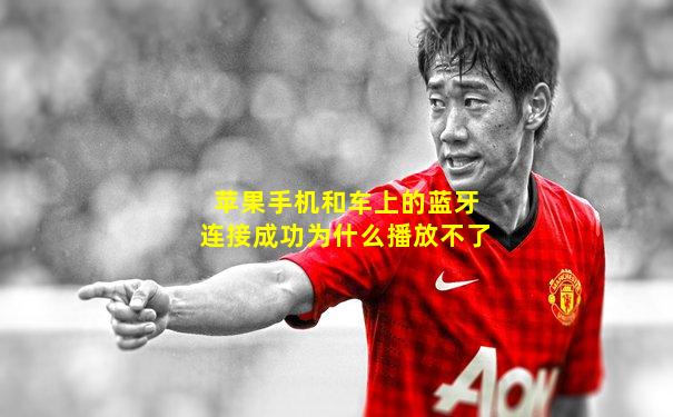 苹果手机和车上的蓝牙连接成功为什么播放不了