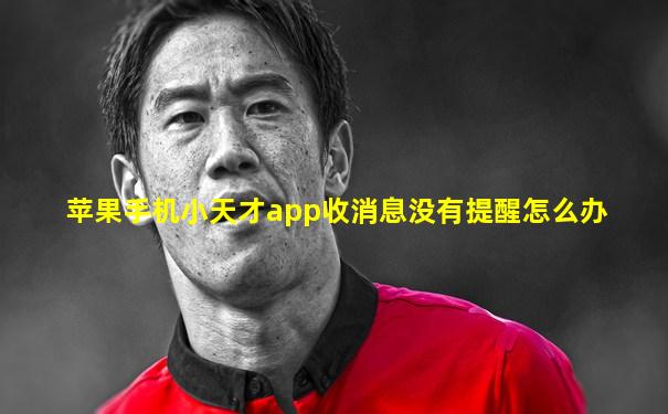 苹果手机小天才app收消息没有提醒怎么办