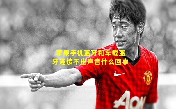 苹果手机蓝牙和车载蓝牙连接不出声音什么回事