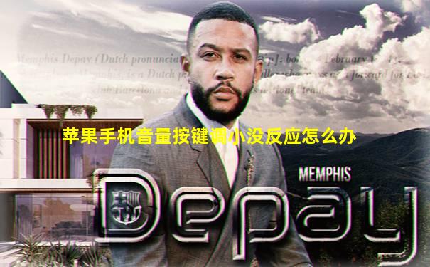 苹果手机音量按键调小没反应怎么办